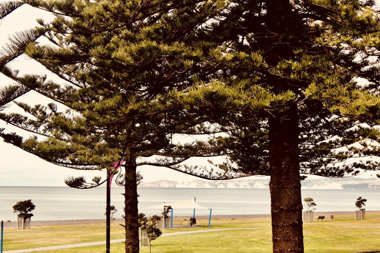 Hotel The Nautilus Napier Exteriér fotografie View of the bay from the foreshore