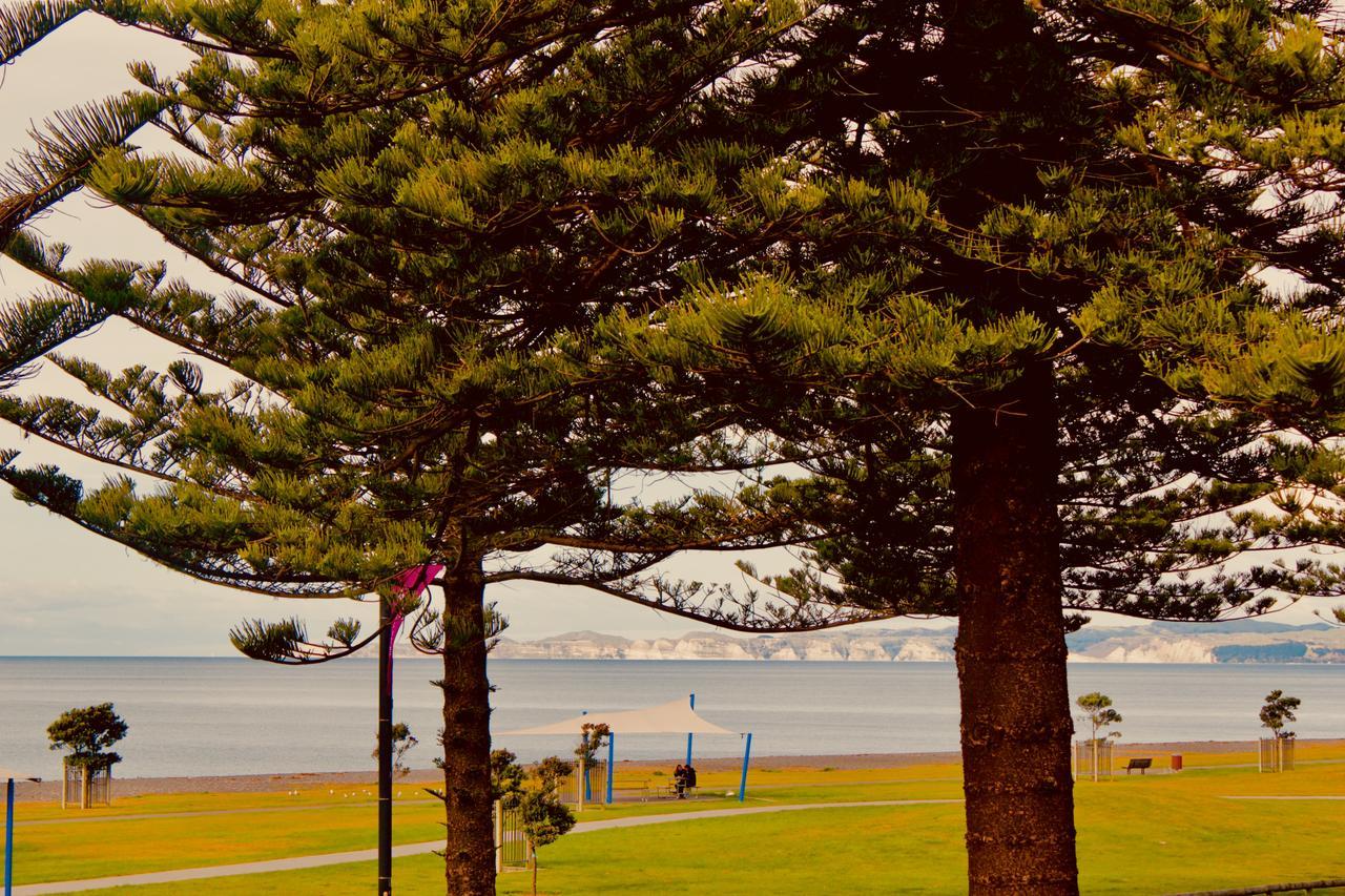 Hotel The Nautilus Napier Exteriér fotografie View of the bay from the foreshore